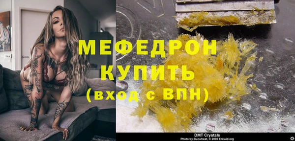 индика Володарск