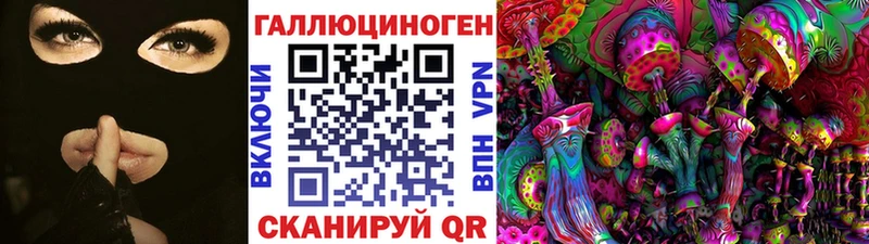 Галлюциногенные грибы Psilocybe  даркнет сайт  Братск 